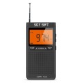 Portable pocket AM/FM radio SKY SAT PR-200